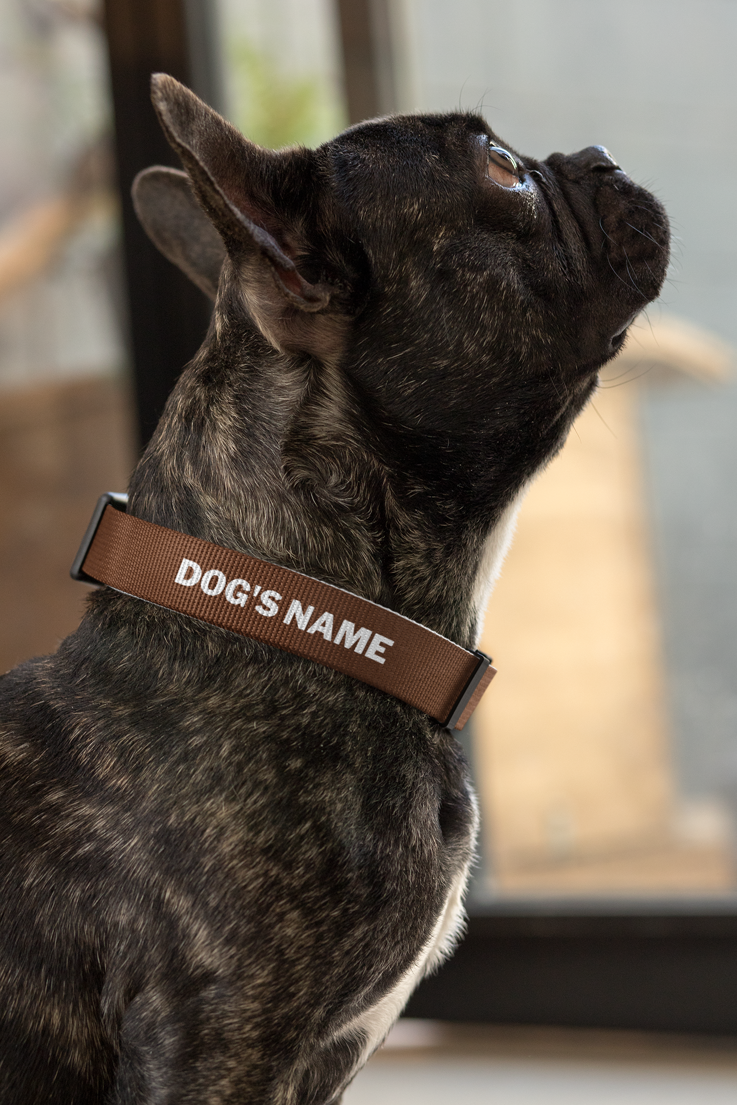 Personalised Brown Collar Gift