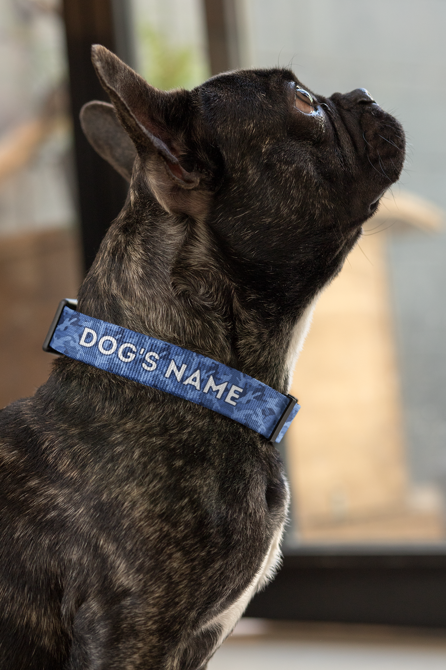 Personalised Camouflage Pattern Collar Gift