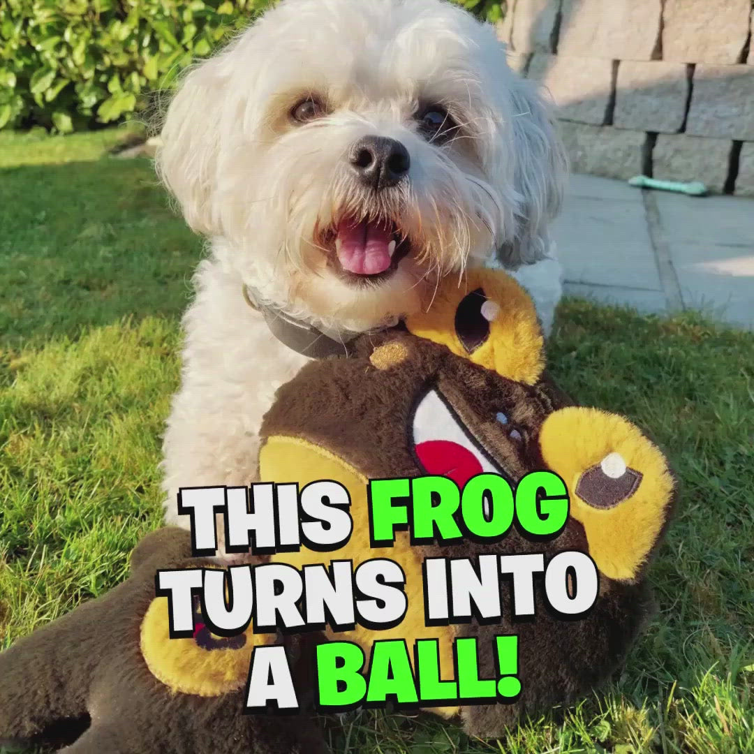 WufWuf- Wufrog 2-IN-1 Fun Interactive Dog Toy and Ball