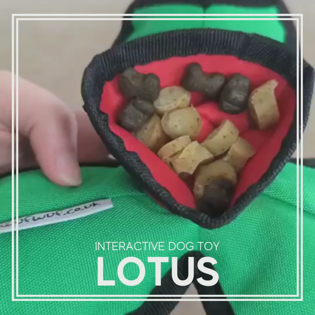 WufWuf - Interaktives Lotus-Spielzeug