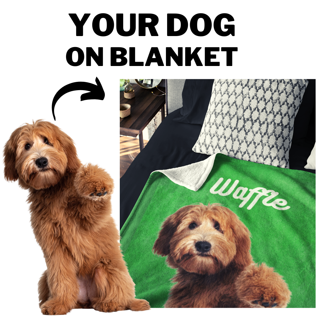 Personalised Dog Blanket with Photo and Name WufWuf Pet Blanket